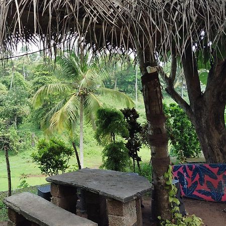 Joseph Dale Homestay Varkala Exteriör bild