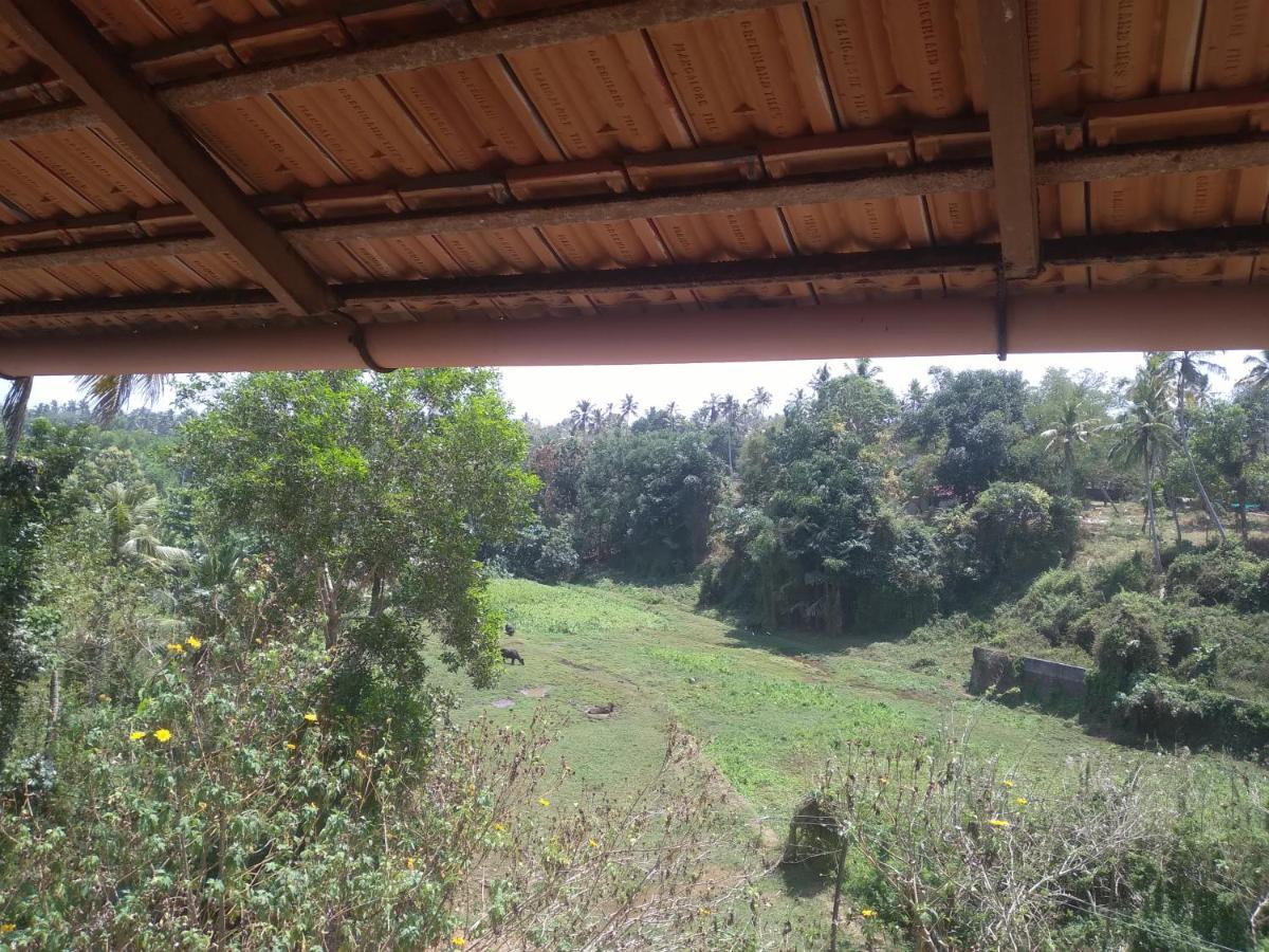 Joseph Dale Homestay Varkala Exteriör bild