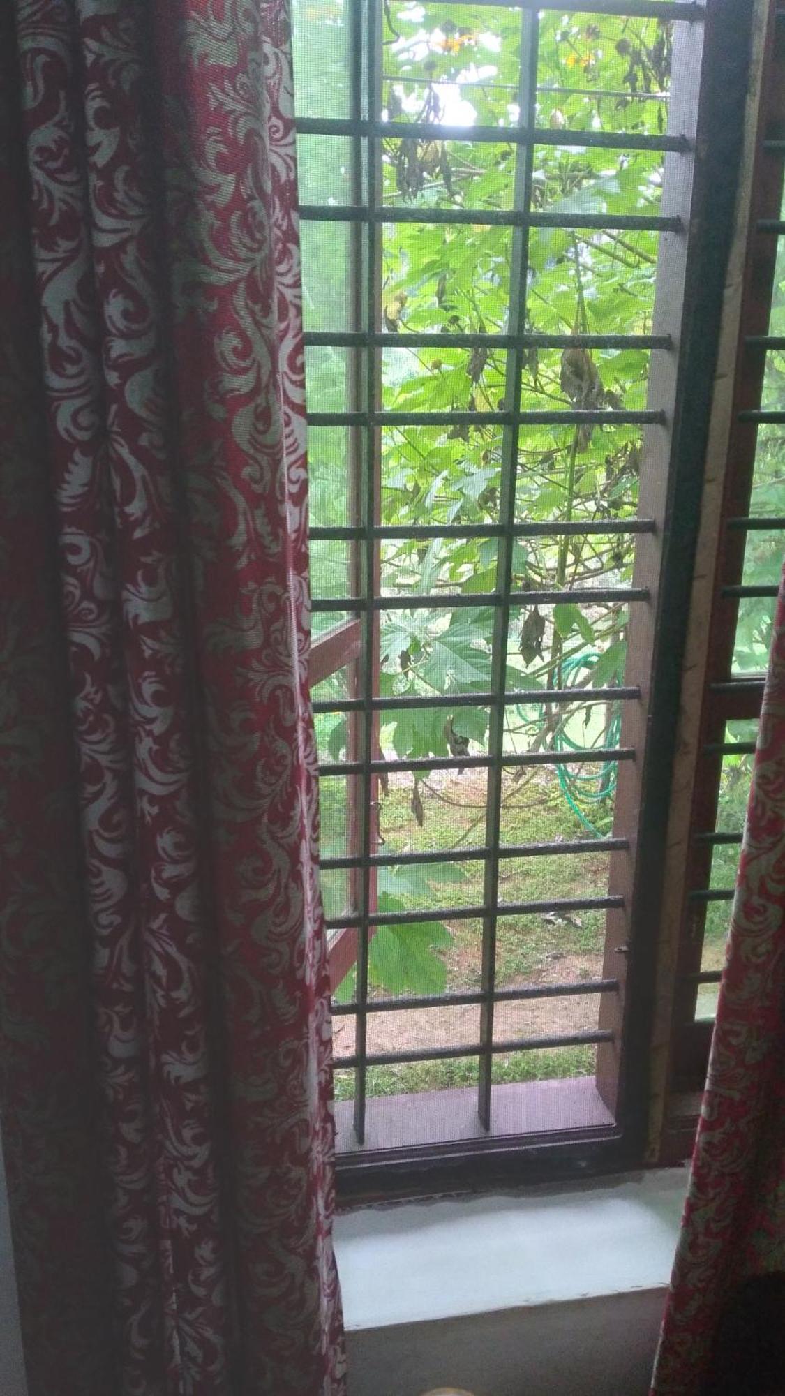 Joseph Dale Homestay Varkala Rum bild