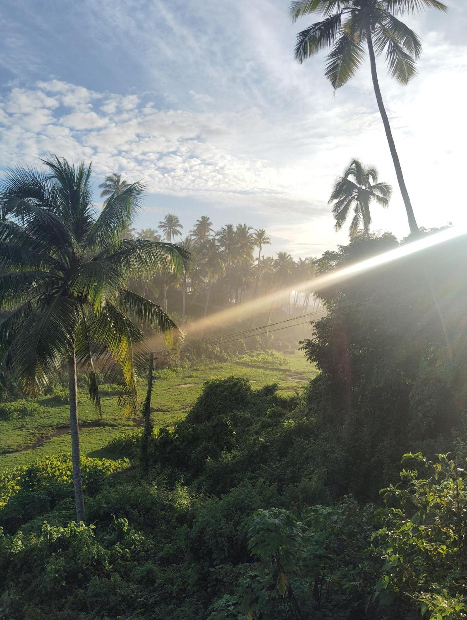 Joseph Dale Homestay Varkala Exteriör bild